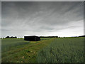 Black shed under a cloudy sky