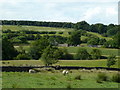 Farmland around Harewood Grange