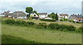 Fields by the eastern edge of Killamarsh