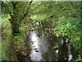 River Laver, Ripon