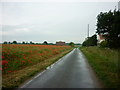 Bursea Lane, towards the A614