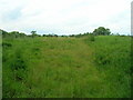 Field north of Bar Lane