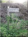 Footpath sign, Trow