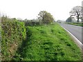 A wide verge, Branscombe Cross