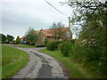 Daffy Lane at Woodhouse Farm