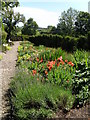 Cockpit  Garden  Richmond  Castle