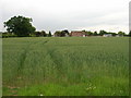 Farmland near Linton-on-Ouse