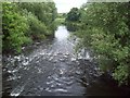 Footbridge View of The River Don