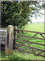 Bench mark on gatepost, Bone Hill Lane