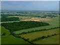 TL5526 : Pledgdon Wood from the air by Thomas Nugent