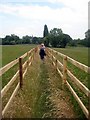 Fenced path, Smalley Bight farm (3)