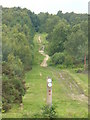 Bridleway at Little Arm