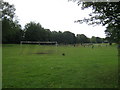 Football pitch in North End Recreation Ground Darlington