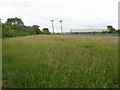 Grass field and footpath at Sundon