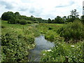 Drainage ditch by the River Rother