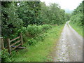 Path and stile near Cwmcarn visitor centre