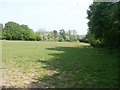 Field on the north side of Leach Road, Bettws, Newport