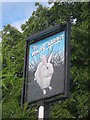 The White Rabbit, Pub Sign, Maidstone