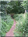 Footpath - Rockhill Lane