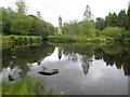 Lake and Crannog, History Park, Cullion