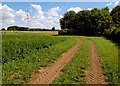 Farm Track East of Low Moor Farm