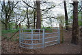 Kissing gate, Hothfield Common