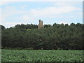 NT9342 : Duddo  Tower  (ruin) by Martin Dawes