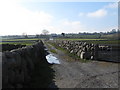 Farm track section of Sabbath Hill