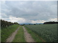 NT9342 : Fieldside  Track  and  Stormy  Sky by Martin Dawes