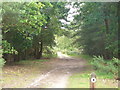 Bridleway on Tank Hill