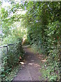TM2763 : Footpath to Victoria Mill Road by Geographer