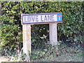 Love Lane sign