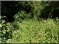 Overgrown restricted byway