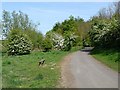 Tyne Riverside Park and Cycle Path, Prudhoe