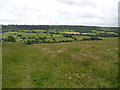 Meadows near Nethergate.