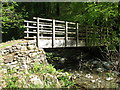 Footbridge across the Afon Wen