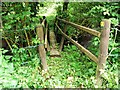 Footbridge near Llanddowror