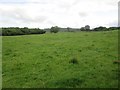 Pasture land, Felin-newydd