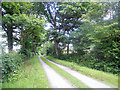 Driveway at Lower Netchwood