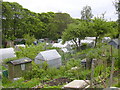 Free Lane Allotments, Helmshore