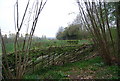 TQ9844 : Coppiced / pleached fencing, Godinton Lane by N Chadwick