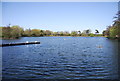 South Norwood Lake