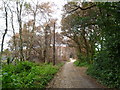 Upton Heath, fire damage