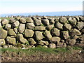 A single boulder based stone wall on Ballyveaghmore Road