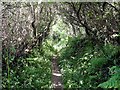 Footpath to the River Avon