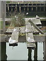 Newhaven: gulls rest on a disused pier at West Quay