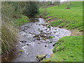 Langley Beck near Kinninvie