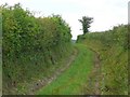 Bridle Path near Camestown