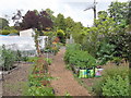 The Offshoots Permaculture Project, Towneley Hall, Burnley