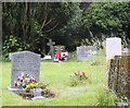 2011 : Cemetery, Chipping Sodbury
